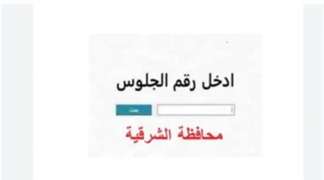 ترقبوا النتائج.. موعد إعلان الشهادة الإعدادية في محافظة الشرقية خلال ساعات